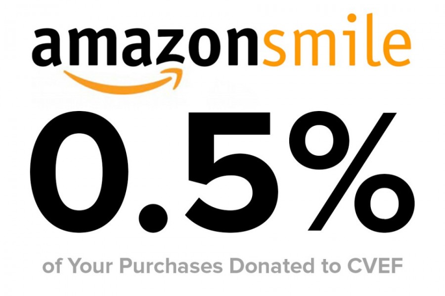 AmazonSmile is a new version of Amazon that gives a portion of its profits to charity. It was released around the holidays in hopes that they would raise the most money during that time. However, some users feel that Amazon is gaining more for themselves and giving less to charities. 