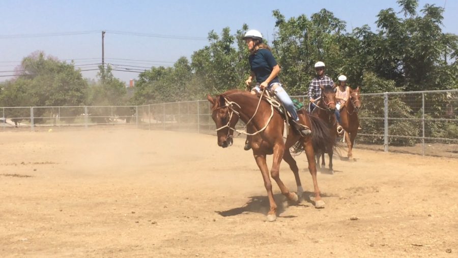 Students Prepare for Horseback Riding Competition