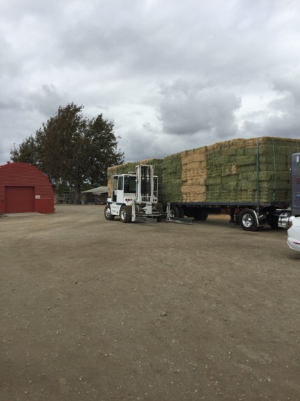 Lugo Farm Supplying Hay For Animals