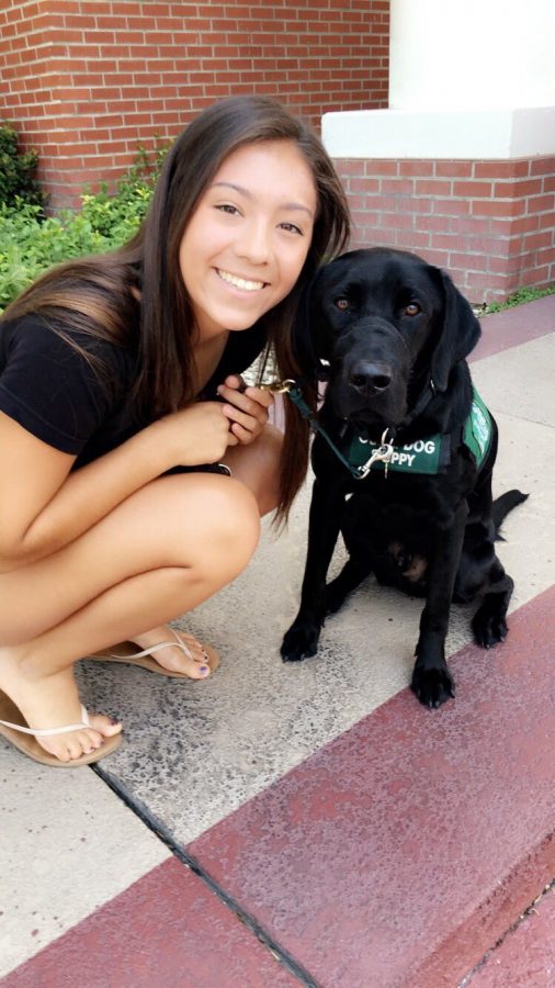 Brianna Cabrera raises guide dogs for the blind and trains them. My uncle, who is blind, has a guide dog and I told my mom I wanted to get involved in that, she says. The guide dog program is at Don Lugo and motivates students to raise guide dogs.