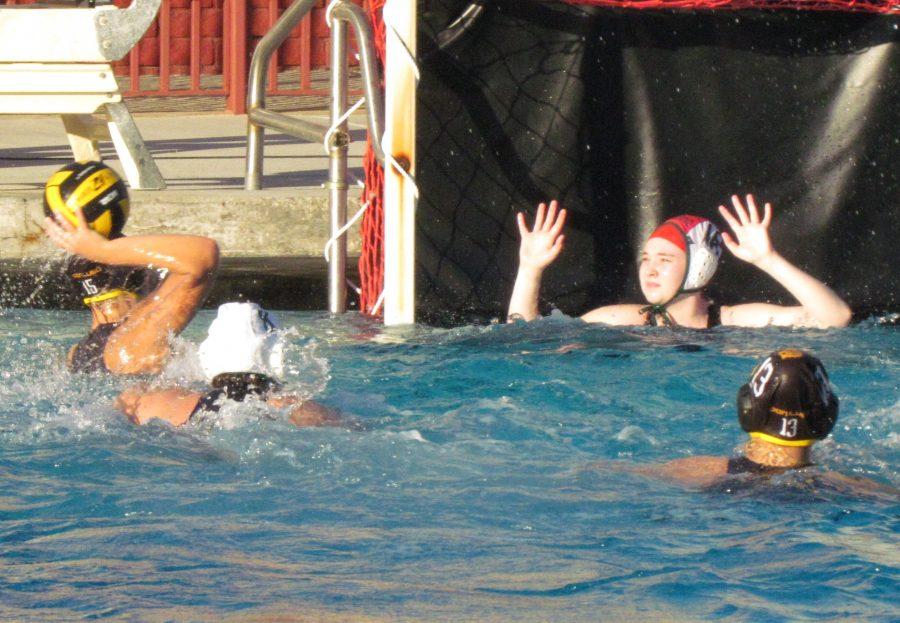 Amber Vigneault, in this picture, scoring a goal out of the 20 that were made in this opener game. Amber commented, Its kind of like a different season from the last one but its more of getting use to it and being a team. The Lady Qs are very nervous and excited for this new season but are really working hard to make it to CIF.