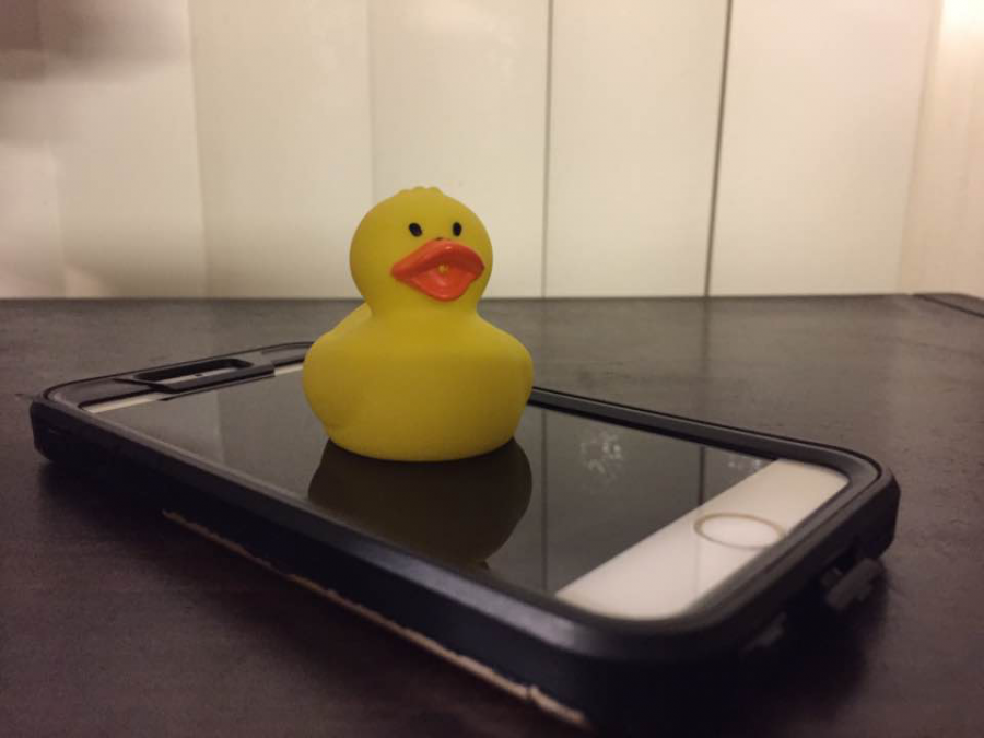 Edwin the Duck provides kids a safe place to learn and play with original songs, stories, educational games, and more in Edwin’s interactive apps. Many Don Lugo students show special support for the product. (Picture displayed is not an actual Edwin the Duck product).