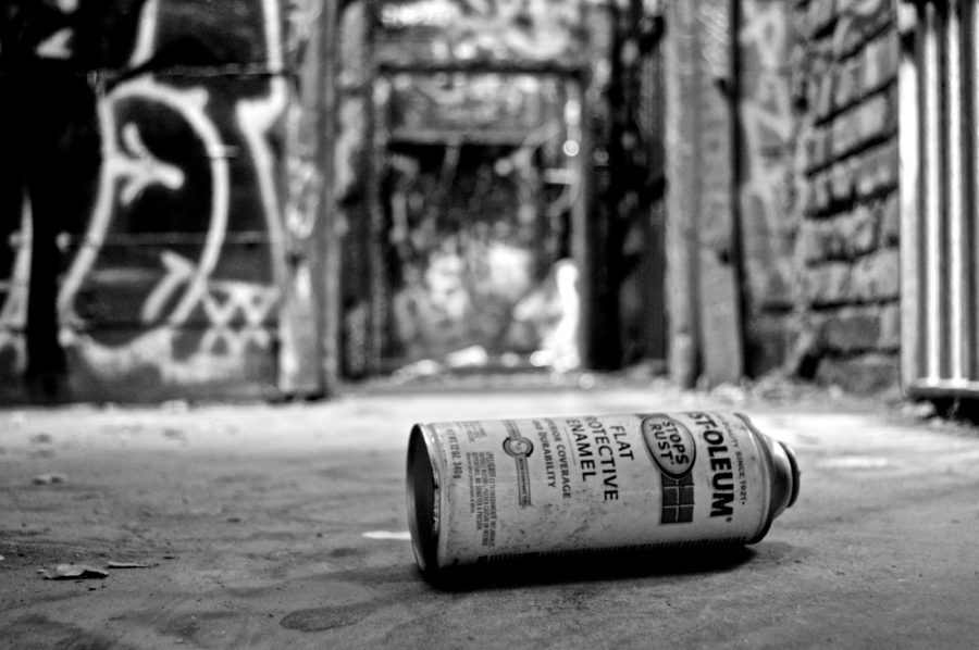 The cages of the Abandoned LA Zoo have turned into the canvas for street artists, adding life to what is now decaying. Residents of the Los Angeles area (and most of southern California) visit the old zoo to explore the ruins of what is left. The zoo was closed in 1966 but it has since been opened to the public.