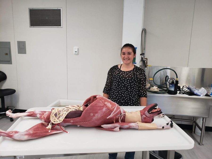 Ms. Berry stands near the Cadaver dog. Its realistic body allows students to be able to practice and be as accurate as possible. Photo Creds: Anthony Winslow