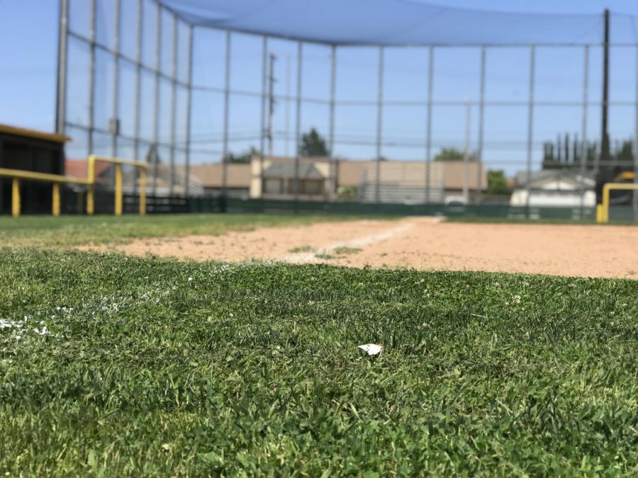 Photo or vacant baseball field prior to start of the 2019 season. 
