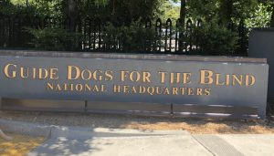 The front sign of the Guide Dogs for the Blind San Rafael campus. Where the dogs that are being raised by puppy raisers will go to receive official guide dog training.  (Photo courtesy: Jazmine Coto)
