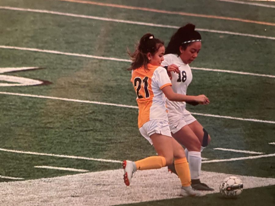 Arianna Hernandez, a senior on the Don Lugo soccer team, physically exerts herself on the field, while fighting for the ball.