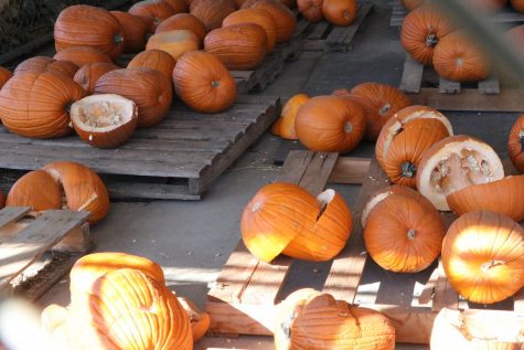 The carnage of pumpkins left over from the students that snuck on campus. We had to learn to work slightly harder and make sure to sell everything to make up for the lost profit, said Sophia Vazquez.