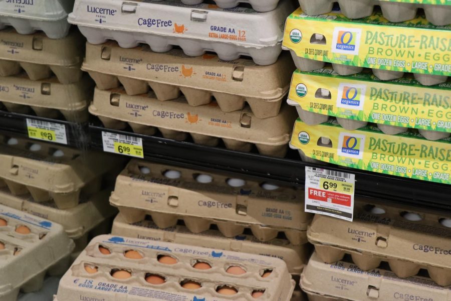 Photo of two different types of dozen egg prices at Albertsons