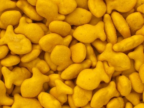 Goldfish crackers are a well known snack among both children and adults.