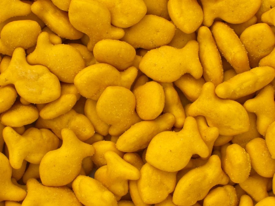 Goldfish+crackers+are+a+well+known+snack+among+both+children+and+adults.