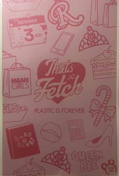 A poster from the new movie Mean Girls in the iconic pink with iconic sayings from the movie.